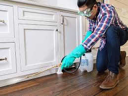 Best Residential Pest Control  in Firestone, CO